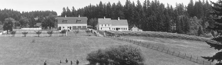 Oswego Hills Vineyard