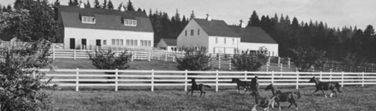 Oswego Hills Vineyard