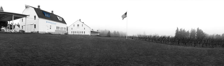 Oswego Hills Vineyard