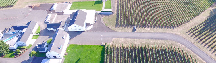 Oswego Hills Vineyard